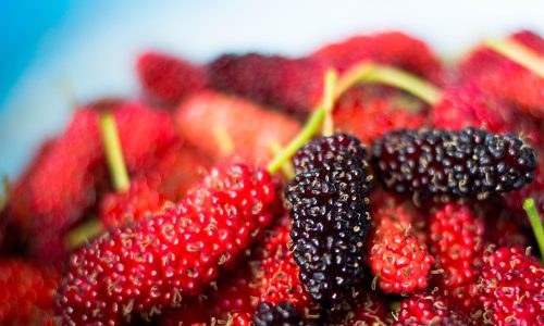 mulberry, fruit, mulberry, mulberry, mulberry, mulberry, mulberry