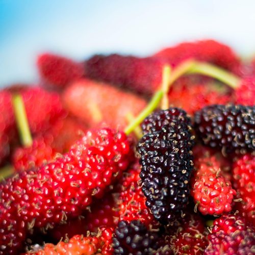 mulberry, fruit, mulberry, mulberry, mulberry, mulberry, mulberry